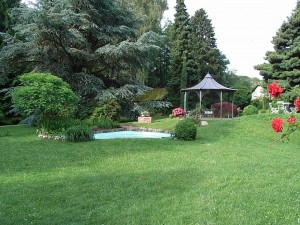 Homöopathieausbildung Garten